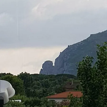 Rinaldi